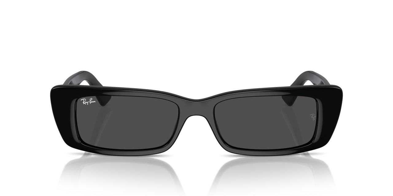 Ray-Ban Teru RB4425 Sunglasses