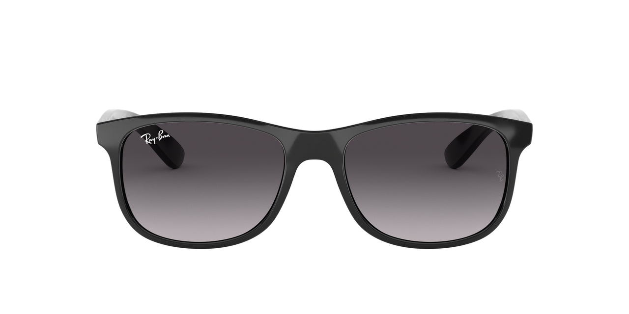 Ray-Ban Andy RB4202 Sunglasses