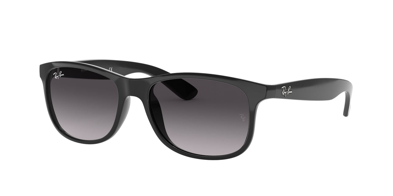 Ray-Ban Andy RB4202 Sunglasses