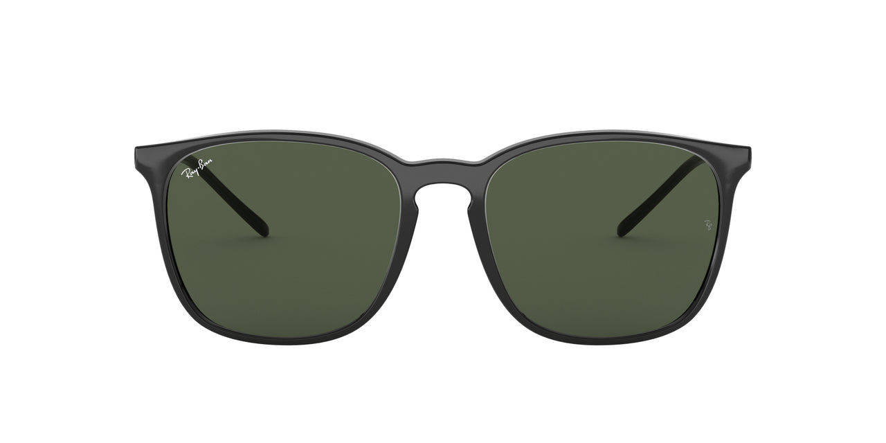 Ray-Ban RB4387 Sunglasses