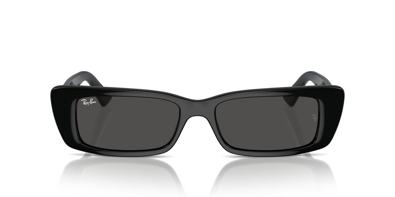 Ray-Ban Teru RB4425F Low Bridge Fit Sunglasses
