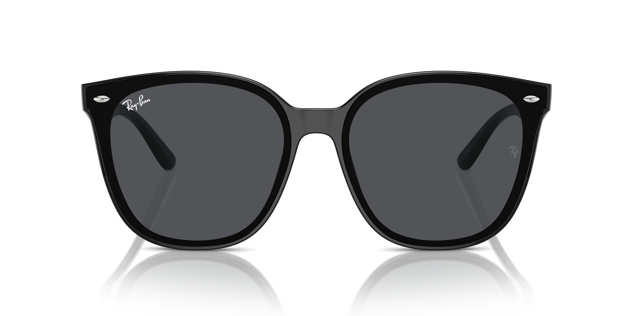 Ray-Ban RB4423D Low Bridge Fit Sunglasses