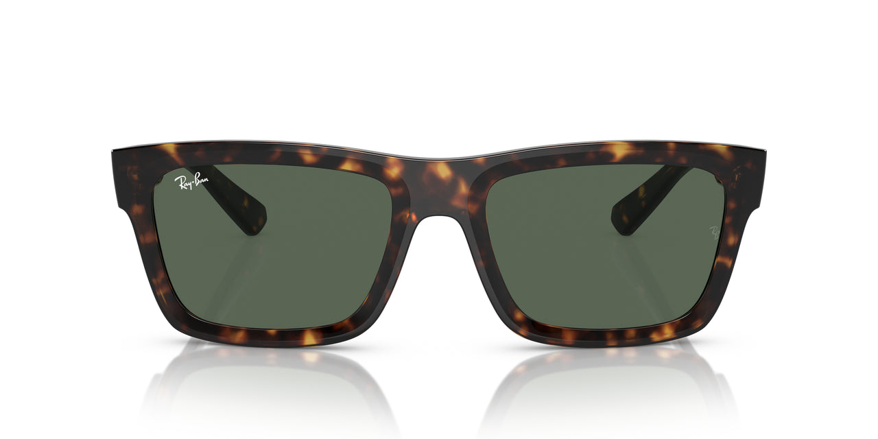 Ray-Ban Warren RB4396 Sunglasses