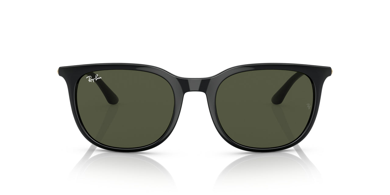 Ray-Ban RB4386 Sunglasses
