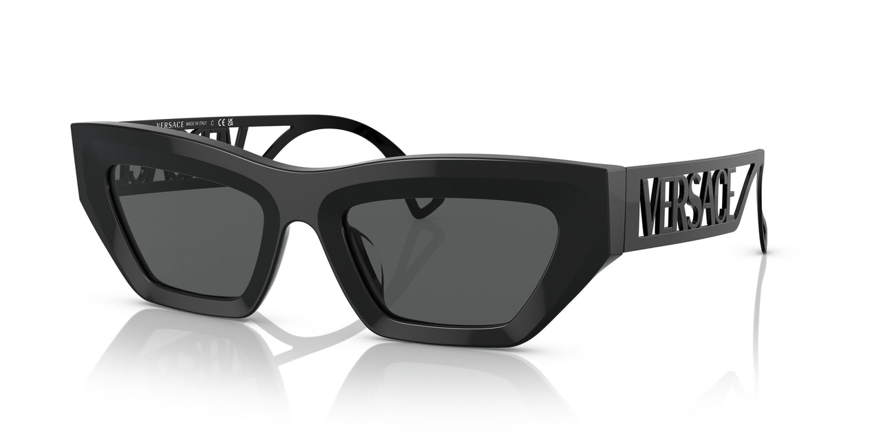 Versace VE4432U Sunglasses