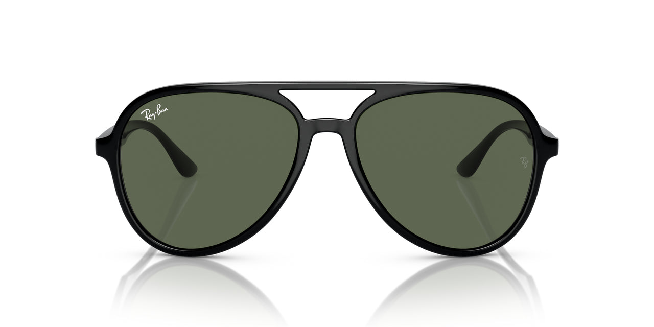 Ray-Ban RB4376 Sunglasses