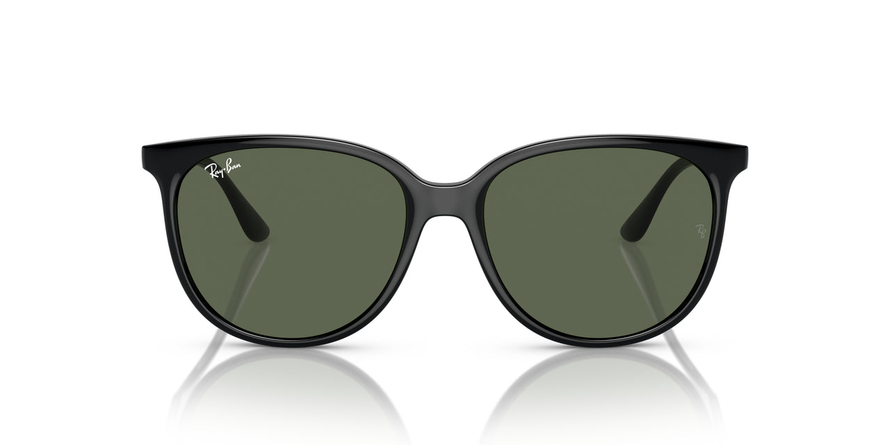 Ray-Ban RB4378 Sunglasses